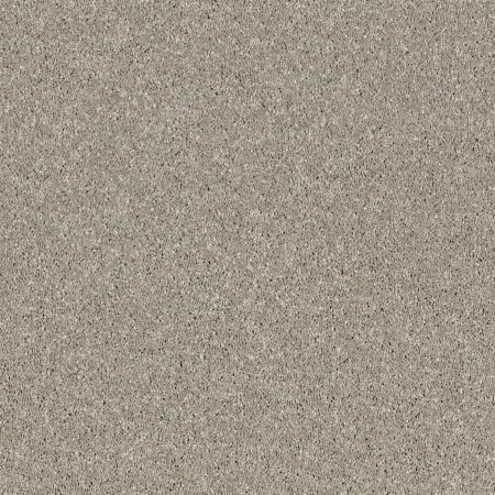Shaw Floors Simply The Best Virtual Gloss Morning Dew