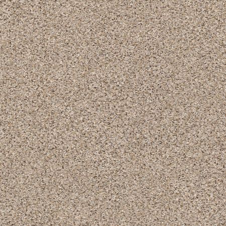Shaw Floors SFA Strands Of Nature II Acreage