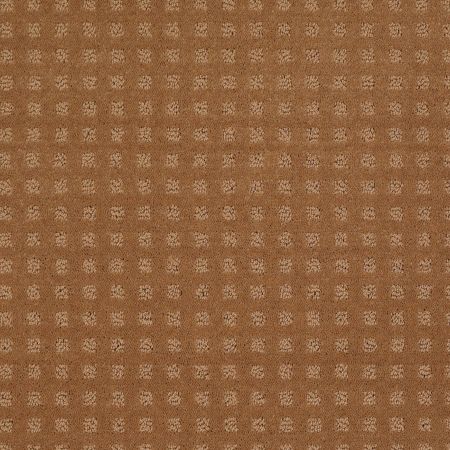 Shaw Floors Shaw Floor Studio Style With Ease Gold Coin