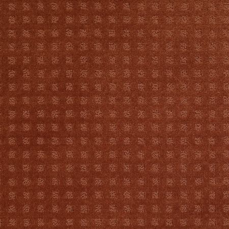 Shaw Floors Shaw Floor Studio Style With Ease Aged Copper