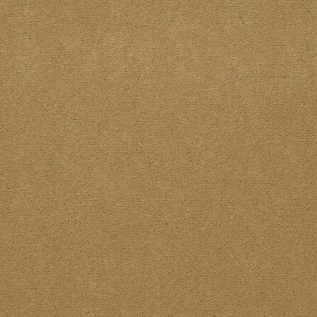 Philadelphia Commercial Baytowne III 36 Suede Gold