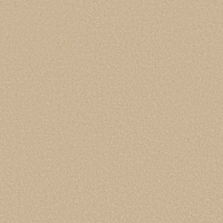 Shaw Floors Shaw Flooring Gallery Truly Modern I 12' Almond Flake