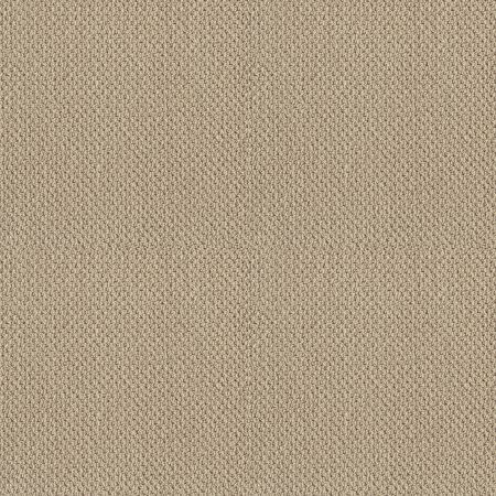 Shaw Floors TIMELESS CHARM LOOP French Linen