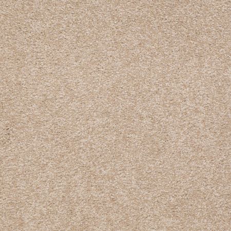 Shaw Floors SFA Shingle Creek Iii 12' Adobe