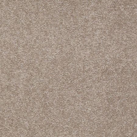 Shaw Floors Shaw Flooring Gallery Truly Modern Ii 15' Chinchilla