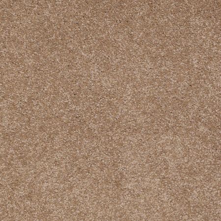 Shaw Floors Shaw Flooring Gallery Truly Modern Iii 15' Mojave