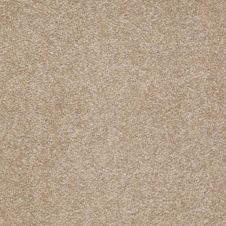 Shaw Floors SFA Shingle Creek Iv 12' Sahara