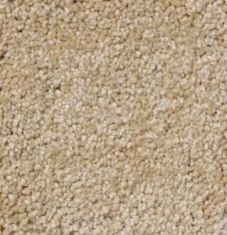 Shaw Floors SFA Shingle Creek Iv 15' Cornfield