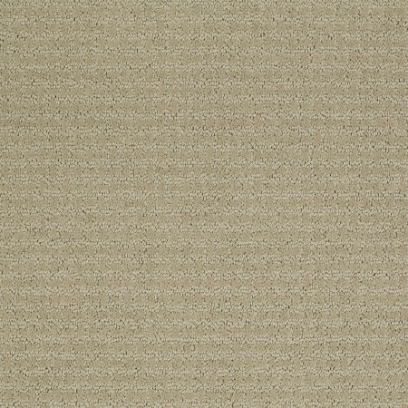 Shaw Floors Shaw Flooring Gallery FAST LANE Wool Skein