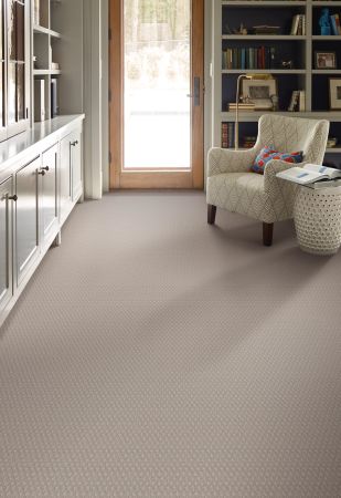 Shaw Floors FOUNDATIONS Entwined With You Silhouette