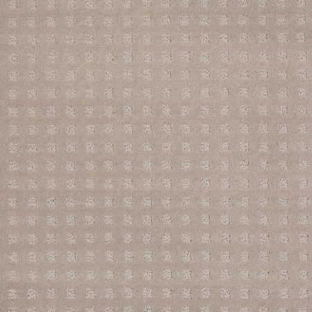 Shaw Floors Shaw Flooring Gallery Made To Be Yours Grey Dove