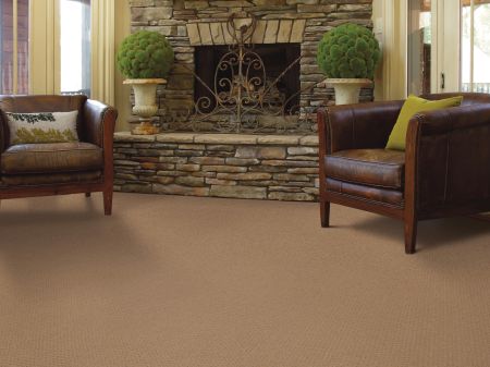 Shaw Floors FOUNDATIONS Perpetual Move Warmth