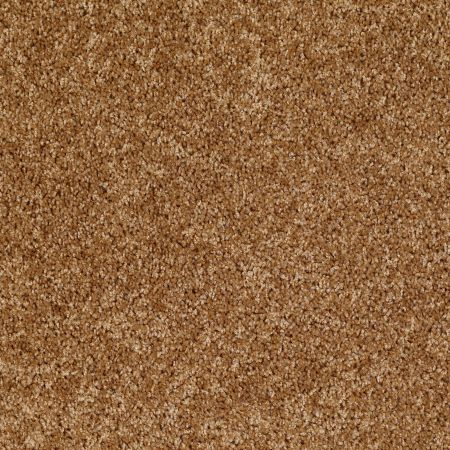 Shaw Floors Shaw Flooring Gallery Colesville 12' New Cork