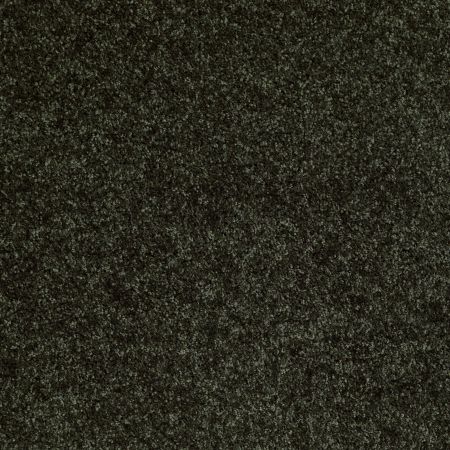 Shaw Floors Shaw Flooring Gallery Colesville 12' Jaden