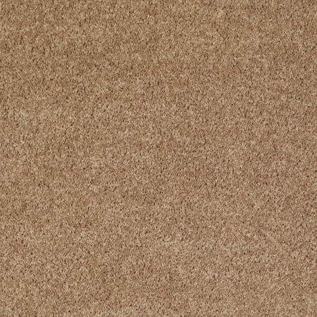 Shaw Floors Shaw Flooring Gallery Union City Iii 12' Golden Echoes