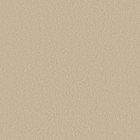 Shaw Floors SFA Loyal Beauty III Cashew