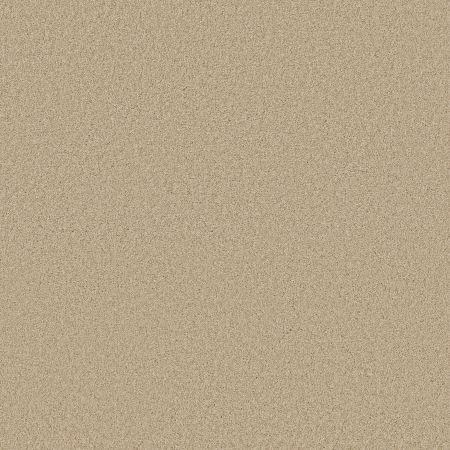 Shaw Floors SFA Loyal Beauty III French Linen