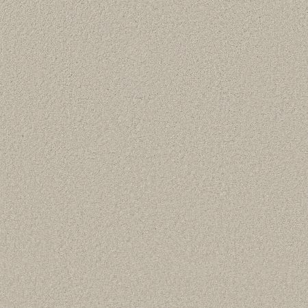 Shaw Floors SFA Loyal Beauty III Polar