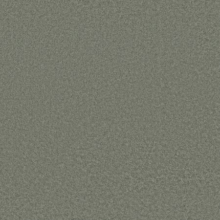 Shaw Floors SFA Loyal Beauty III Blue Chateau