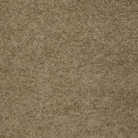 Shaw Floors SHAW FLOORING GALLERY Grand Image I Twig