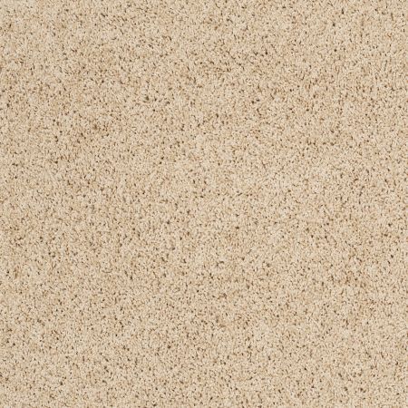 Shaw Floors Shaw Flooring Gallery Grand Image Ii Mesa