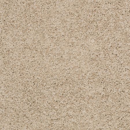 Shaw Floors Shaw Flooring Gallery Grand Image Ii Clay Stone
