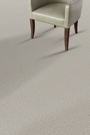 Shaw Floors FOUNDATIONS Always Ready I Etched Glass