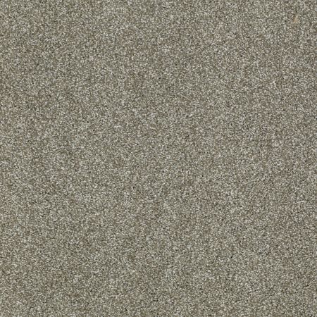 Shaw Floors Shaw Flooring Gallery CANVAS Silver Sage