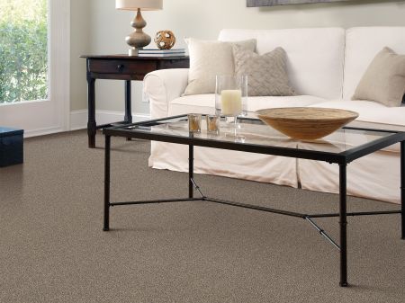 Shaw Floors Shaw Flooring Gallery Canvas Silver Sage