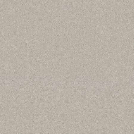 Shaw Floors SHAW FLOORING GALLERY Lucky You Catnip