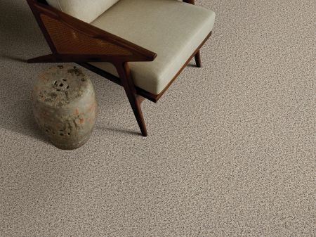 Shaw Floors FOUNDATIONS Elemental Mix II Horizon