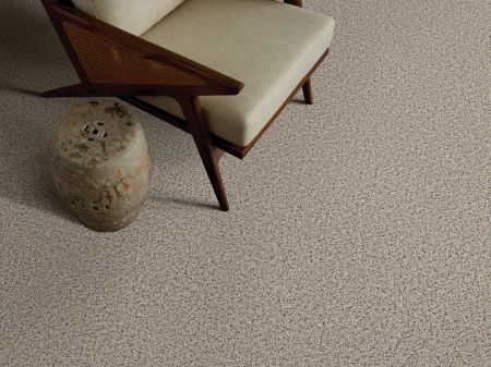 Shaw Floors FOUNDATIONS Elemental Mix III Gentle Rain