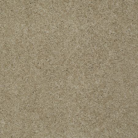 Shaw Floors Nfa/Apg Detailed Style II Clay Stone
