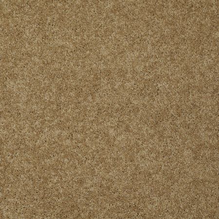 Shaw Floors Nfa/Apg Detailed Style II Honey Pot