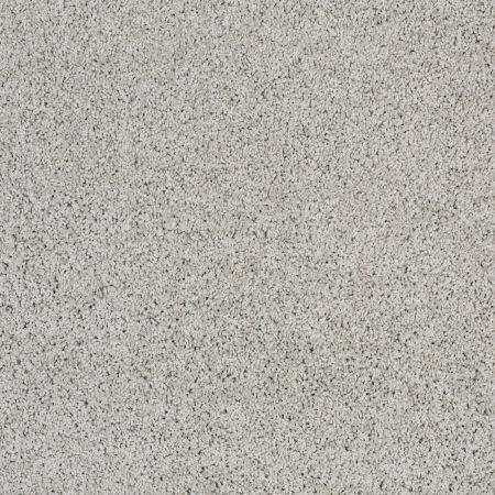 Shaw Floors Nfa/Apg Detailed Style III Sheer Silver