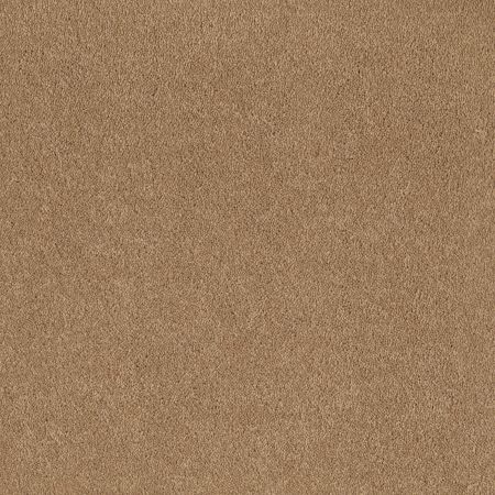 Shaw Floors Nfa/Apg Endura I 12' Cornfield