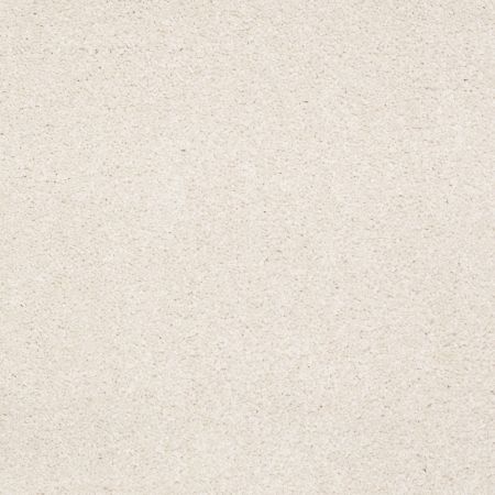 Shaw Floors Nfa/Apg Endura III 15' Mushroom