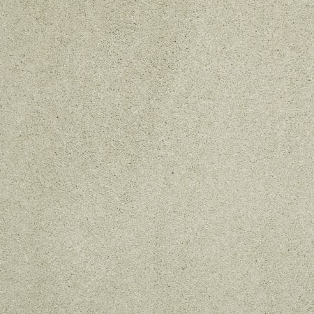 Shaw Floors Nfa/Apg Barracan Classic II Celadon