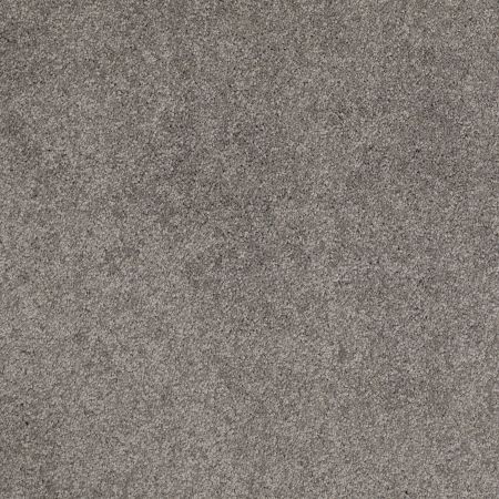 Shaw Floors Nfa/Apg Barracan Classic II Chinchilla