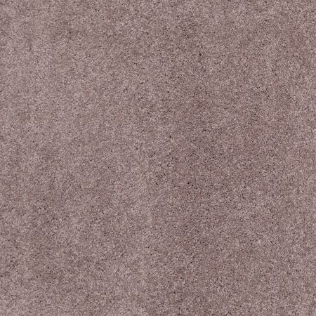 Shaw Floors Nfa/Apg Barracan Classic III Heather