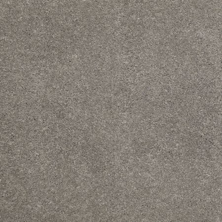 Shaw Floors Nfa/Apg Barracan Classic Iv Barnboard