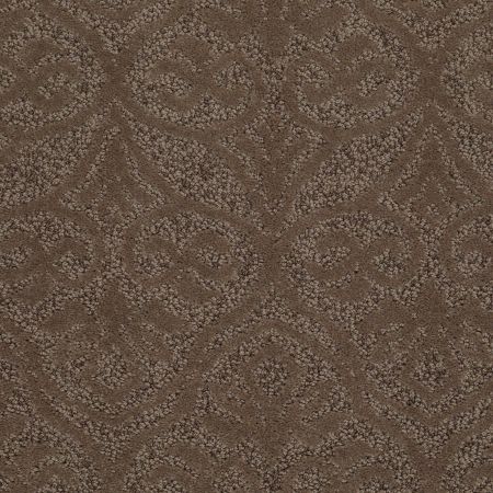 Shaw Floors Nfa/Apg Modern Times Mesquite