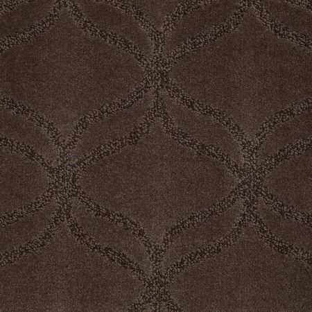 Shaw Floors Nfa/Apg Green Creek Bison