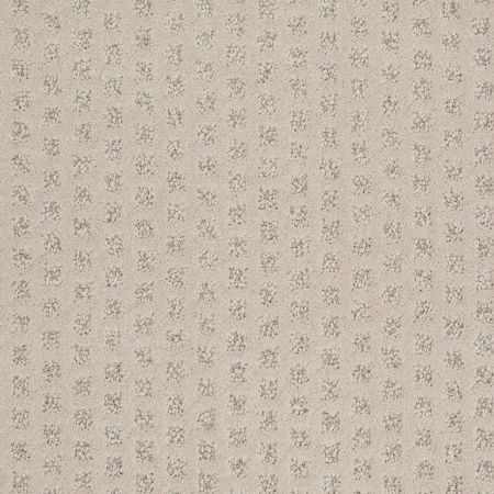 Shaw Floors Nfa/Apg Narrow Creek Amarillo
