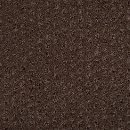 Shaw Floors Nfa/Apg Narrow Creek Bison