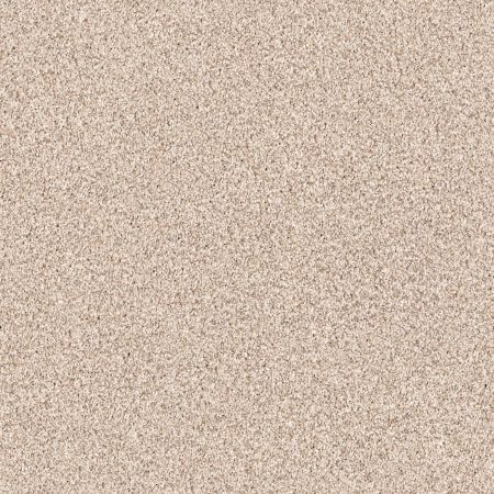 Shaw Floors Nfa/Apg Palatial River Rock