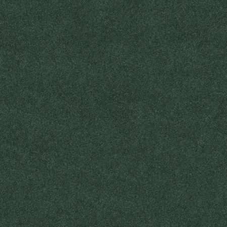 Shaw Floors Nfa/Apg Phenomenal II Shamrock