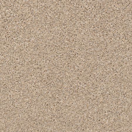 Shaw Floors Nfa/Apg Vigorous Mix II Twine