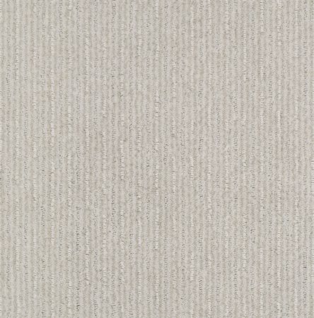 Shaw Floors Nfa/Apg Well Informed Rock Crystal