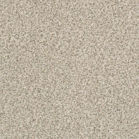 Shaw Floors Nfa/Apg Privy Cocoa Butter
